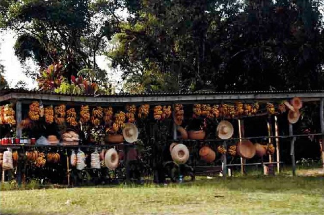 Fotografia contemporânea de Socorro Araújo | 