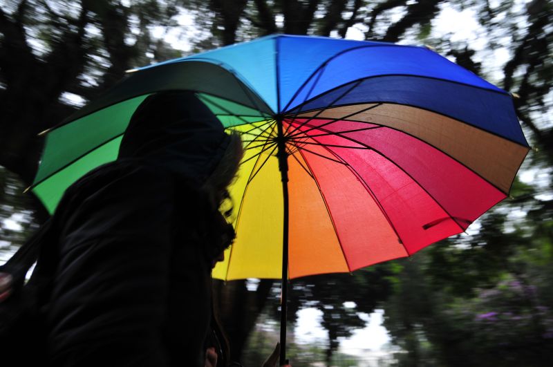 | Daniel Caron / Gazeta do Povo