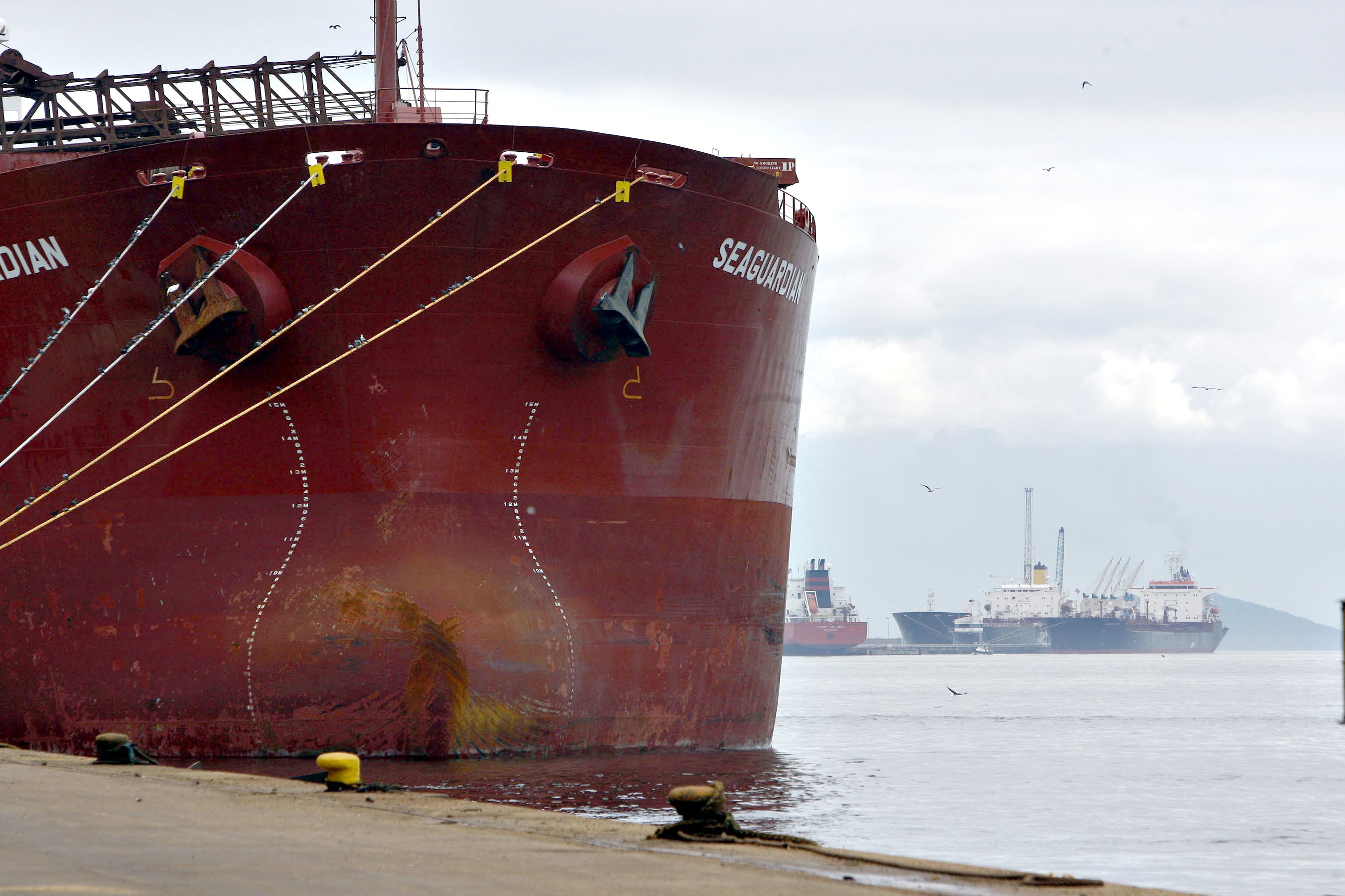 Navios no porto de Paranaguá: três berços a mais para fertilizantes | Henry Milleo/ Gazeta do Povo