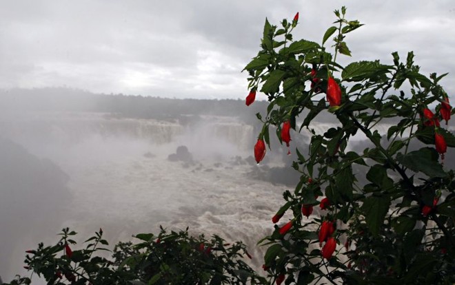 Paisagem do Parque Nacional do Iguaçu, com a alta vazão das Cataratas |