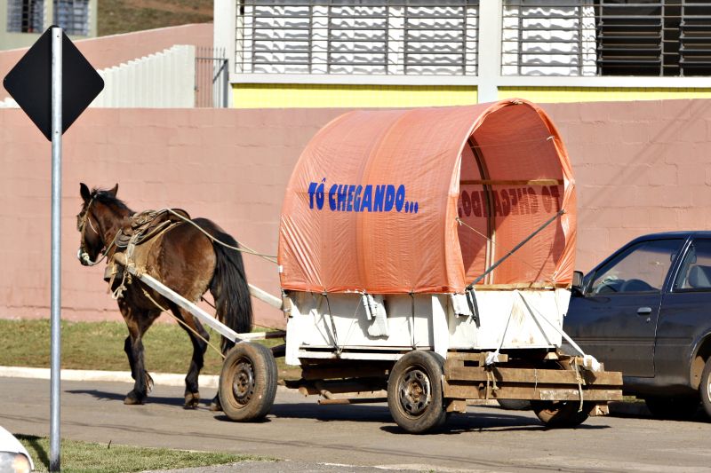 | Henry Milleo/ Gazeta do Povo