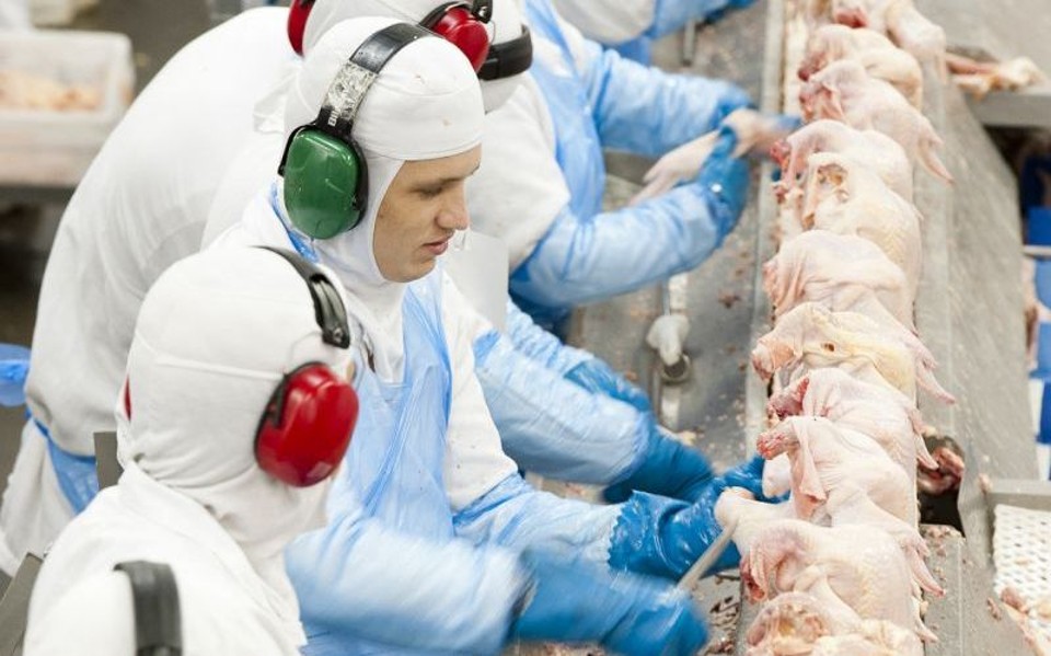 O faturamento do Paraná com as vendas externas de frango aumentaram 28,13% | Fábio Dias/ Gazeta do Povo