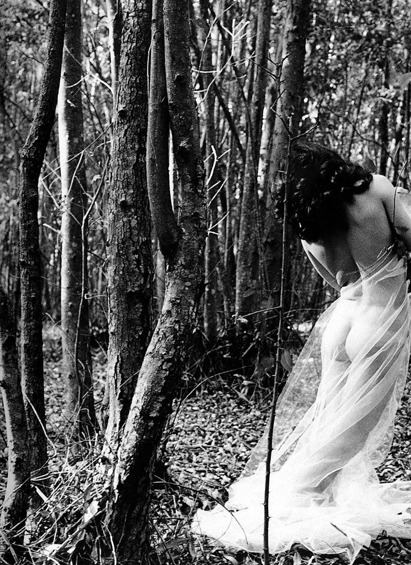 Travesti Ludmila (Danton) integrante do grupo Dzi Croquettes: transformismo ajudou Madalena a aprimorar suas técnicas de luz | Reprodução