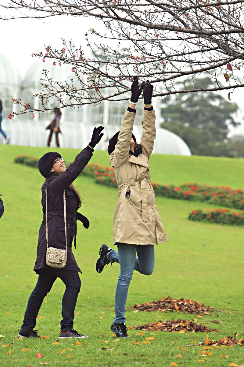 | Ivonaldo Alexandre/ Gazeta do Povo