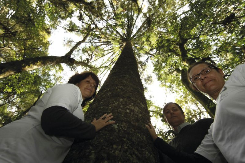 As empreendedoras Terezinha Vareschi (esq.) e Bianca Reinert e Clóvis Borges, da SPVS | Ivonaldo Alexandre/ Gazeta do Povo