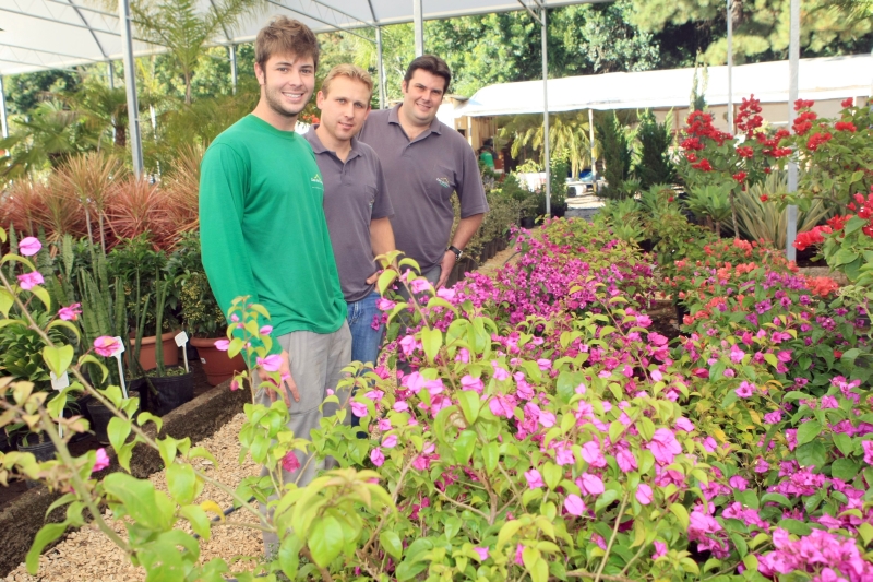 Thiago Zoller, André Possolli e Erico Zoller, sócios da Casa das Plantas: faturamento duplicou em 2011 | Aniele Nascimento/Gazeta do Povo