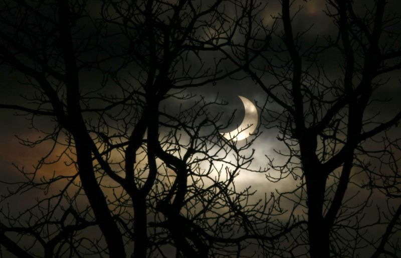 Agências de turismo da Bulgária registraram um aumento dos chamados tours vampirescos | REUTERS/Kacper Pempel