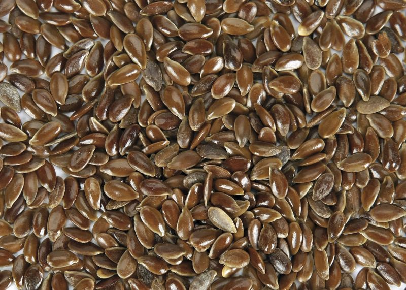 | Daniel Castellano / Gazeta do Povo