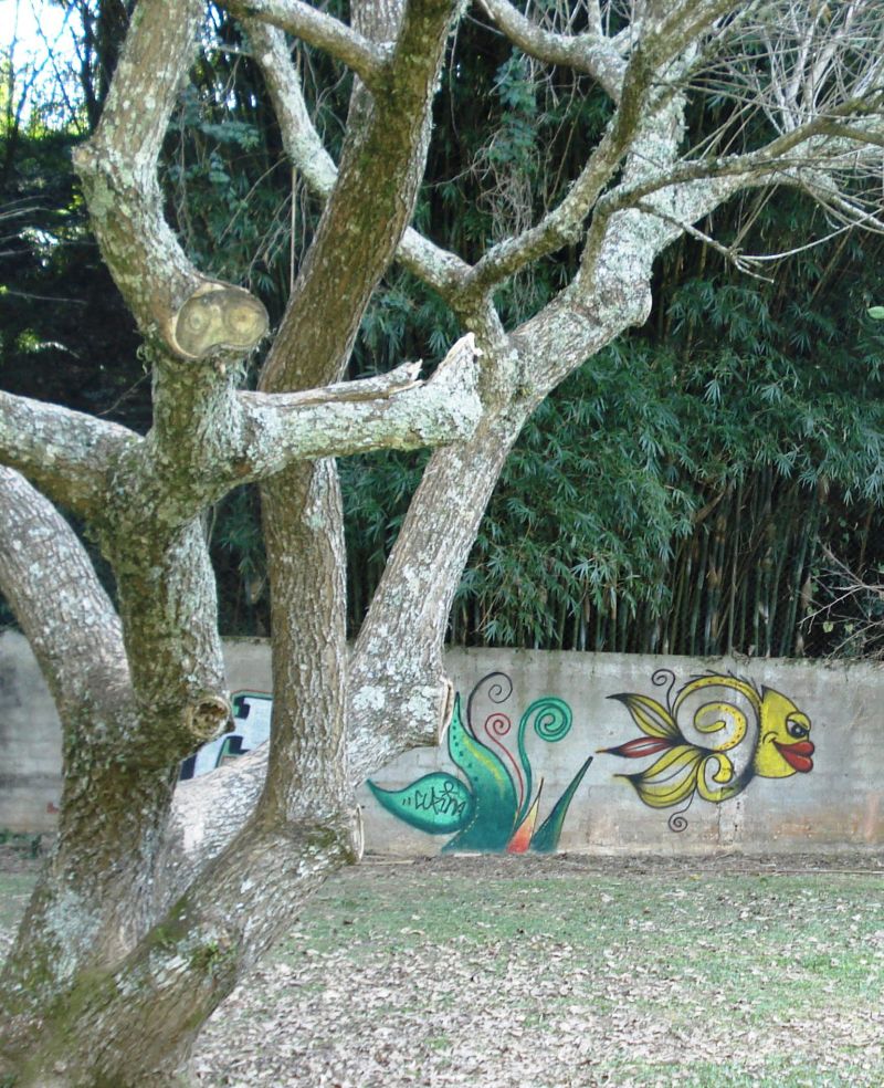 | Marcela Campos/ Gazeta do Povo