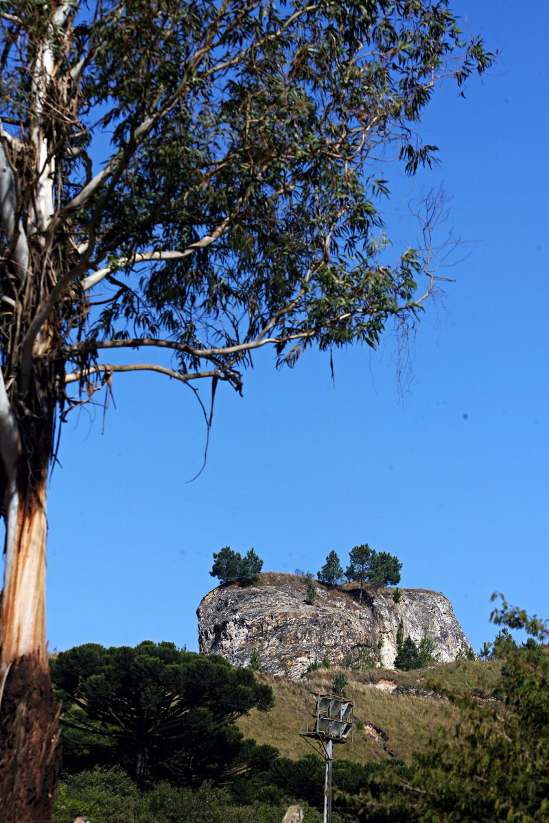 | Felipe Rosa / Gazeta do Povo
