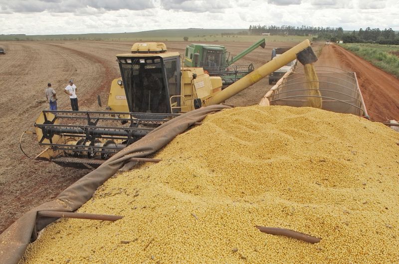Neste ano, preço da soja cresceu 21% no Brasil | Hugo Harada/ Gazeta do Povo