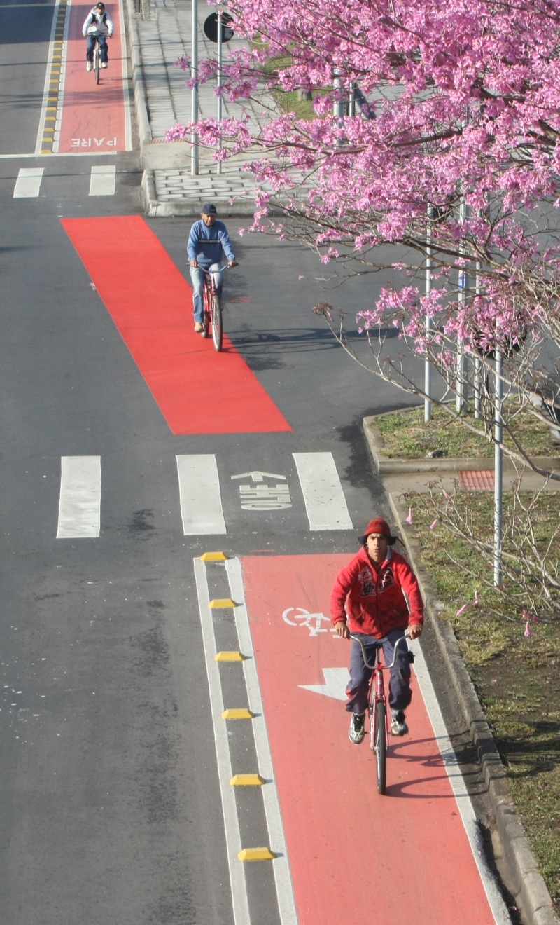 Curitiba tem 120 quilômetros de ciclofaixa: previsão é aumentá-la em 10 quilômetros este ano | Aniele Nascimento/ Gazeta do Povo
