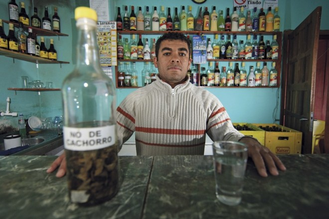 O baiano Damasceno: sabadão com pinga na CIC |