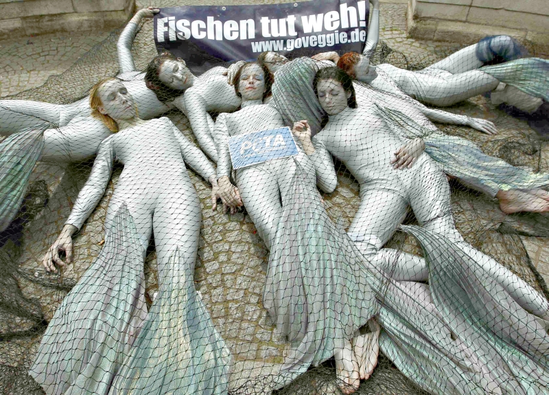 | Foto: France Presse