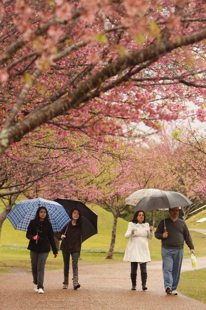 Jardim Botânico: nem a chuva afasta os visitantes | 