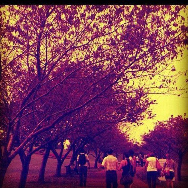 Imagem de Letícia Okamoto foi uma das mais