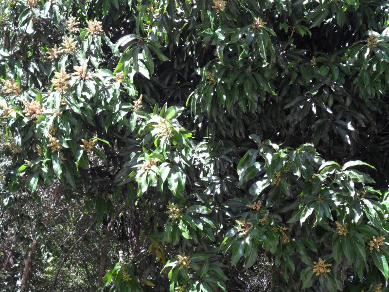 | Cláudio Feldens / Gazeta do Povo