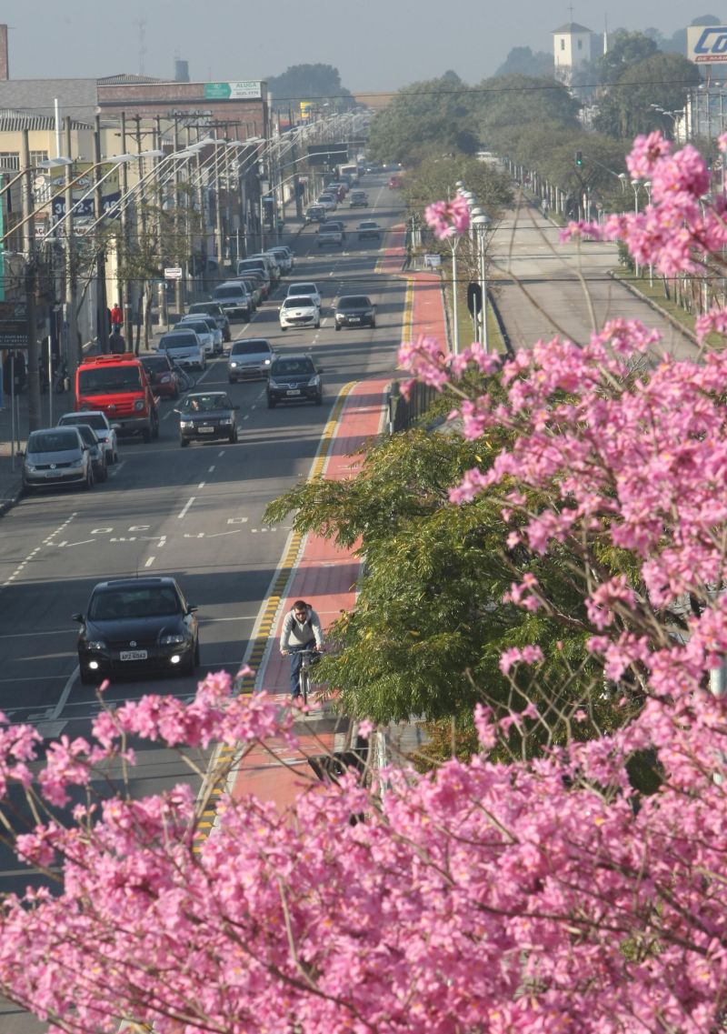 | Aniele Nascimento/ Gazeta do Povo