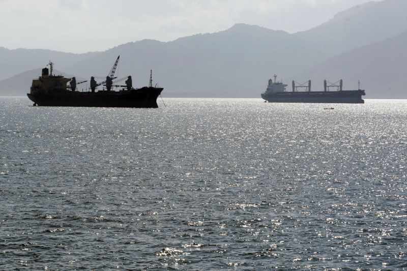 Navios à espera para atracar em Paranaguá: metade das embarcações ao largo leva fertilizantes | Henrye Milleo/ Gazeta Do Povo
