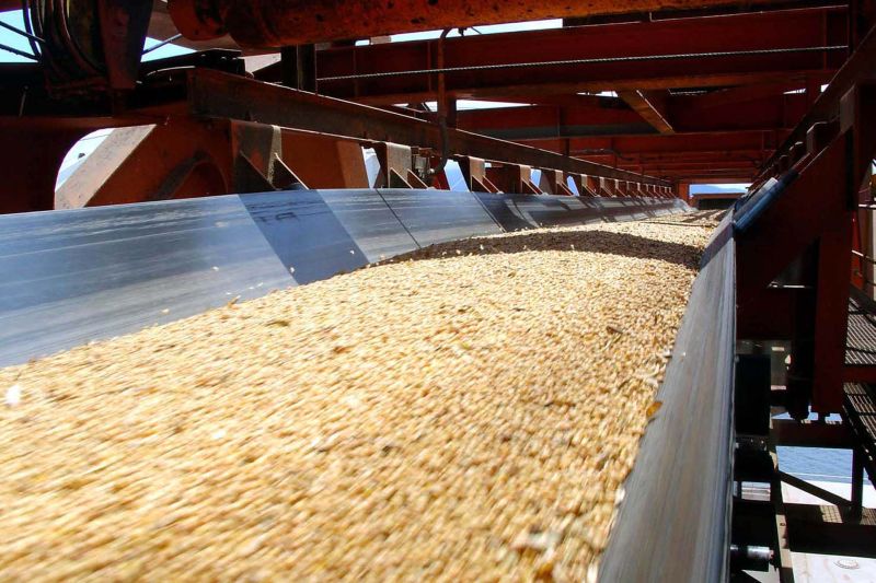 Embarque de milho é alento para exportações do estado no segundo semestre | Fabio Scremin/appa