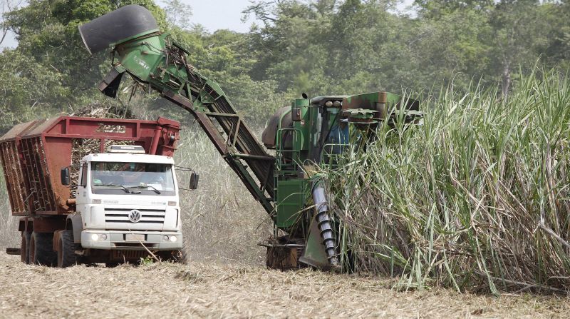 | Jonathan Campos/ Gazeta do Povo