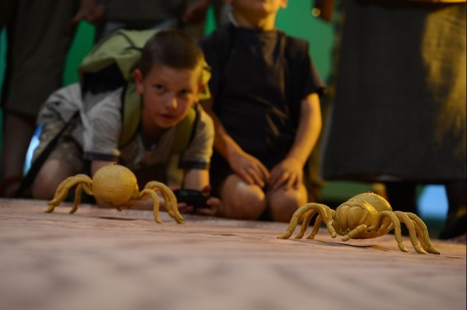 Robôs-aranha fizeram a alegria das crianças em Essen, na Alemanha | 