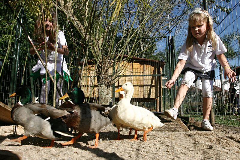 Os alunos da escola Umbrella, como Monique e Anna Clara, têm a chance de brincar e aprender com os animais que são criados na instituição | Felipe Rosa/ Gazeta do Povo