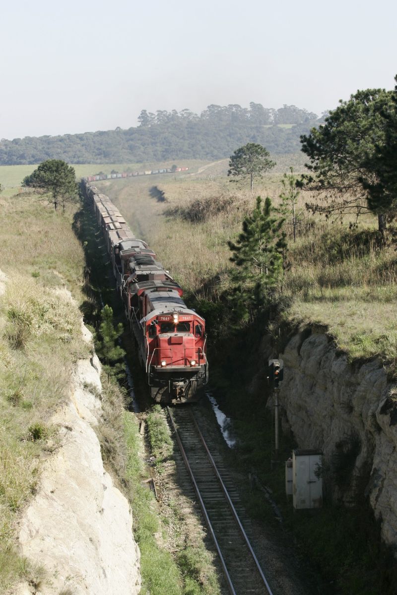 A empresa opera 21,3 mil km no Sul do país e na Argentina | Aniele Nascimento/ Gazeta do Povo