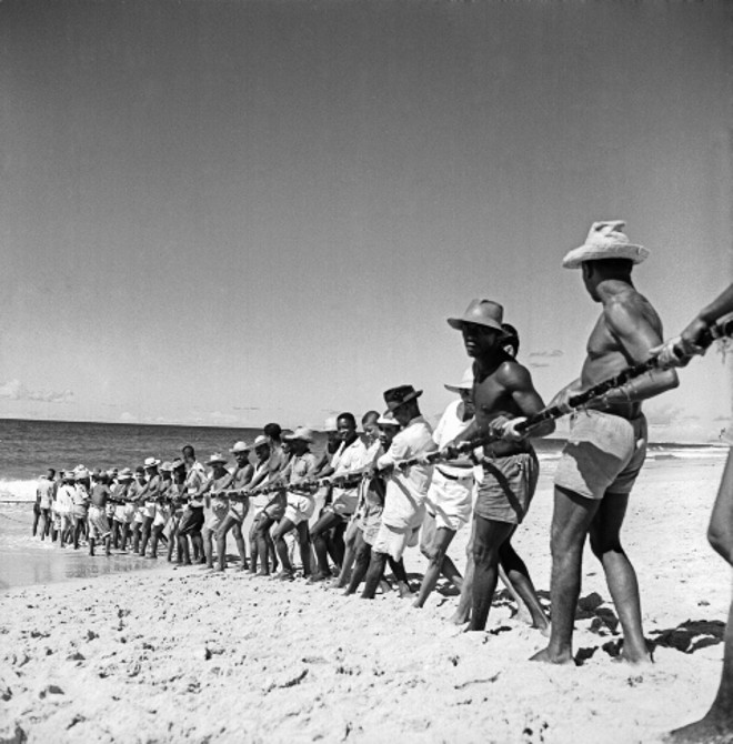 Exposição na Caixa Cultural mostra os 66 anos de atuação de Flávio Damm |