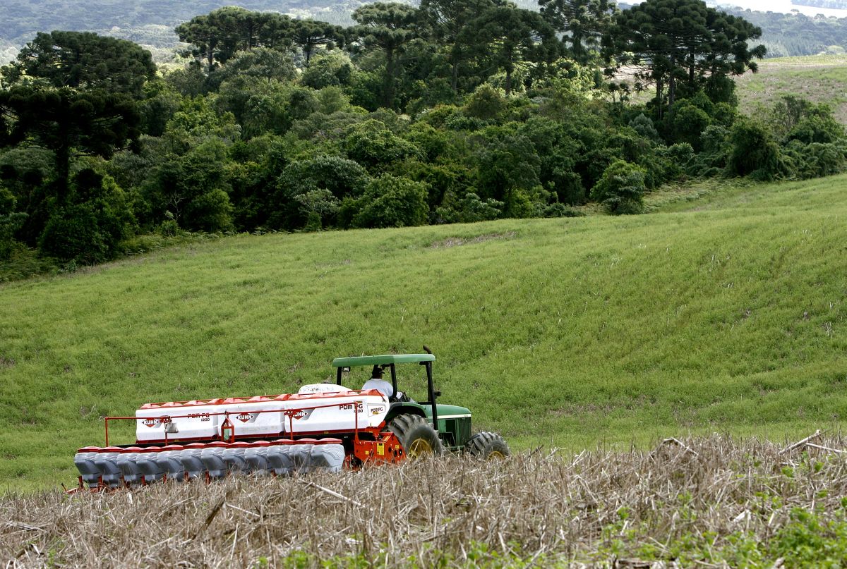 A organização de cooperativas Ocepar no Paraná, o segundo maior estado produtor de soja, estimou que a semeadura deve começar em 21 de setembro em 40 por cento da área | Hugo Harada/ Agencia de Noticias Gazeta do Povo