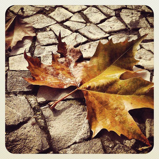 Registro de Tatiana Sakaki também ficou entre os preferidos dos internautas |