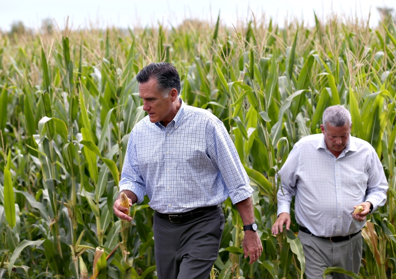 Romney (esquerda) em plantação de milho prejudicada pela seca, em Des Moines, Iowa | Justin Sullivan/Getty Images/AFP