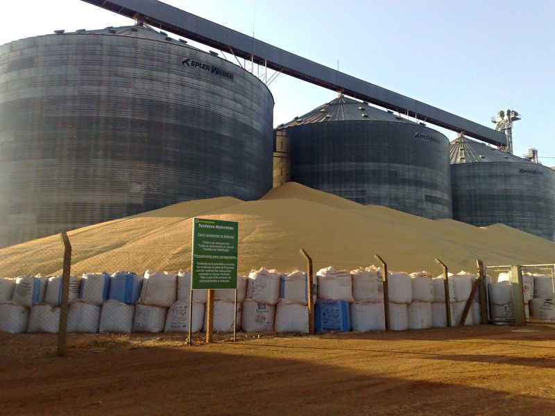 Milho de sobra em Mato Grosso interessa a empresas do Paraná | Asscom/ Aprosoja