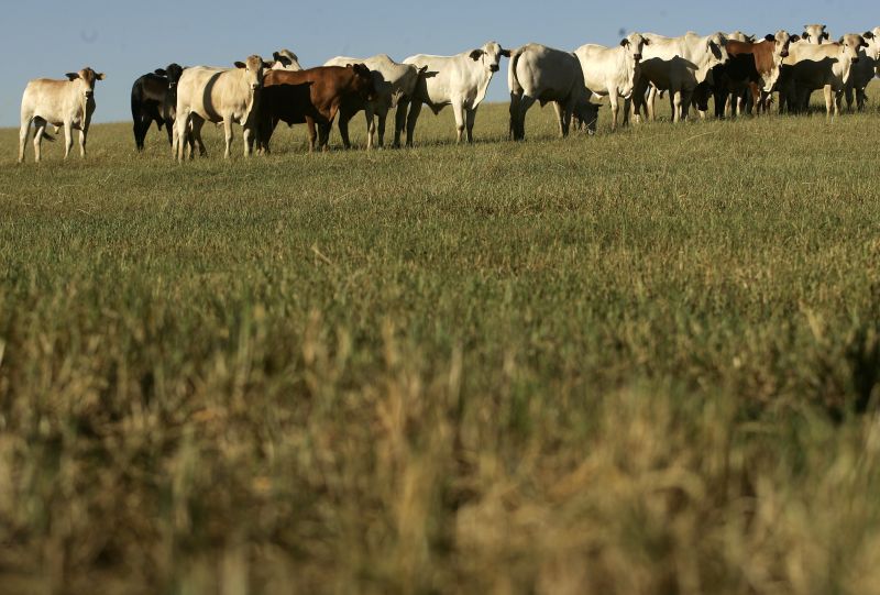 A região dos Campos Gerais está há quase 70 dias sem chuva suficiente | Marcelo Andrade/ Gazeta Do Povo