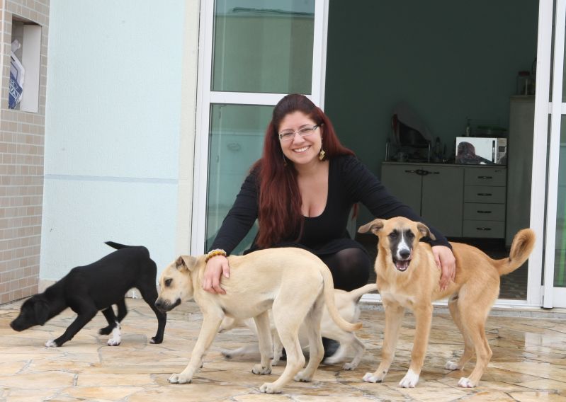 Angel Miríade e seus cachorros: vizinho invadiu o apartamento sem autorização para alimentar os animais de estimação | Aniele Nascimento/ Gazeta do Povo