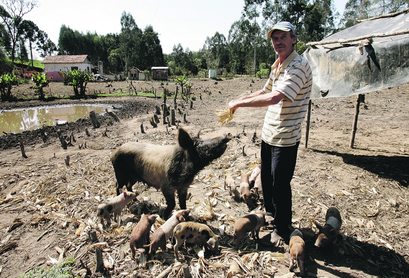 Tenho a escritura que mostra que eu paguei o terreno, mas eu queria o registro porque é uma segurança para os meus filhos. Miguel Shimanski, lavrador | Josué Teixeira/Gazeta do Povo