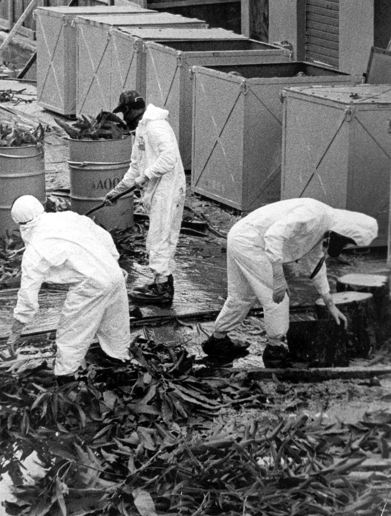 Ferro-velho é vistoriado na época do acidente: radiação fatal | Aniele Nascimento/Gazeta do Povo