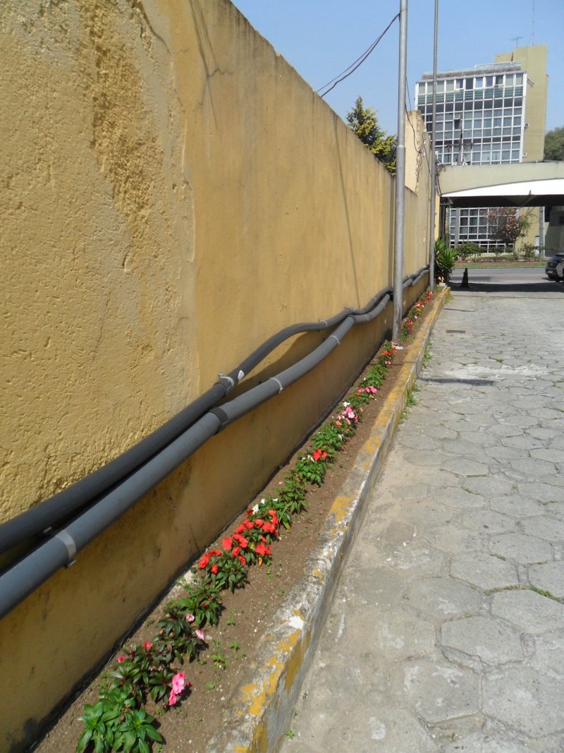  | Cláudio Feldens / Gazeta do Povo