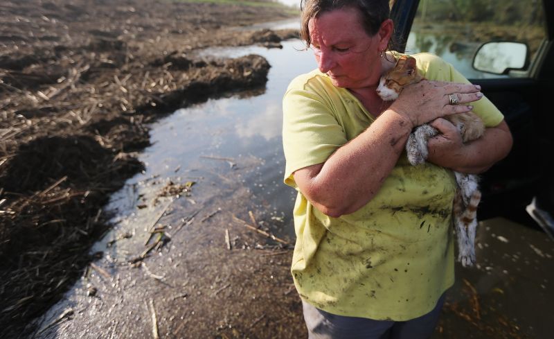 Melanie Martinez abraça o gato da família, chamado "Isaac", enquanto observa os estragos deixados pelo furacão em Plaquemines Parish, na Louisiana | Mario Tama/Getty Images/AFP