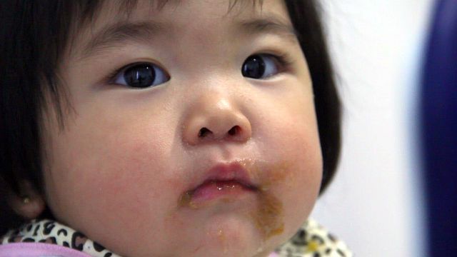 Papinha estava cheia de larvas e fungos | Lucas Fabrício Salamon / Divulgação