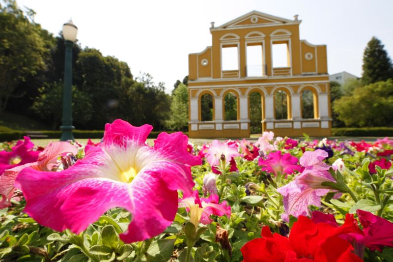 Variações ocorrem em meio à Primavera, estação das flores | Ivonaldo Alexandre/ Gazeta do Povo