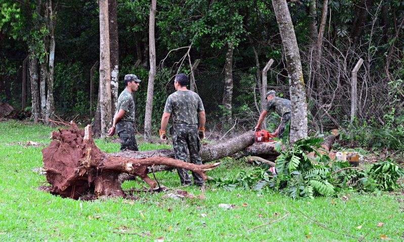 Soldados removem árvore derrubada por vendaval no Oeste do Paraná | Marcos Labanca/Gazeta do Povo