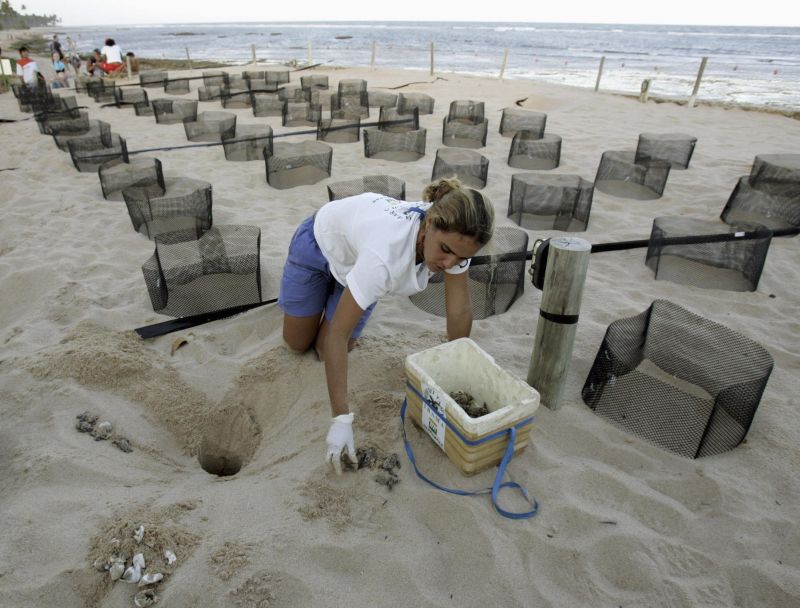 Preservação envolve ambientalistas, pescadores e hoteleiros | Paulo Whitaker/Reuters