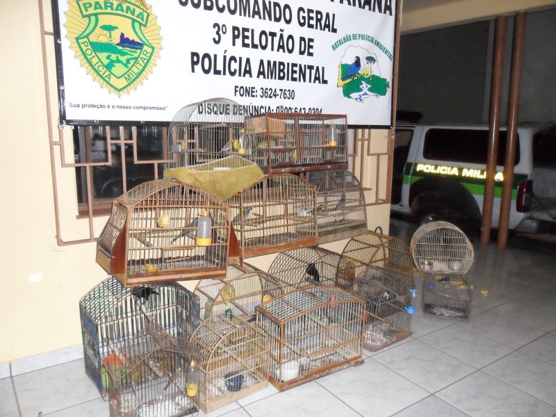 | Polícia Militar Ambiental/ Divulgação