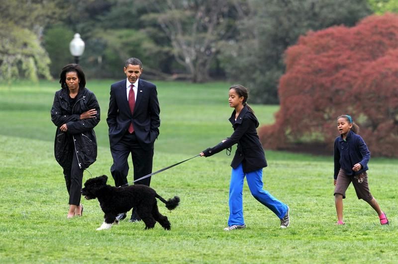Bo, o cachorro dos Obama, passeia com a família | EFE/MICHAEL REYNOLDS