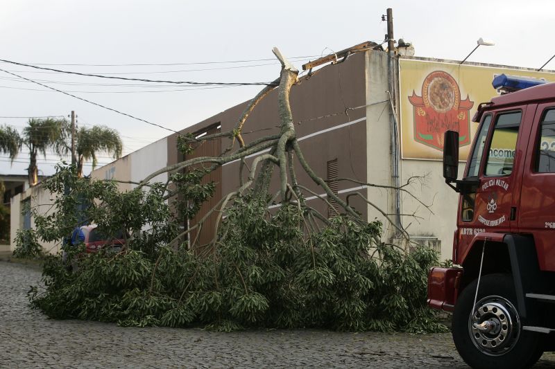 Danos incluíram queda de árvore sobre a rede elétrica | Josué Teixeira/Agência de Notícias Gazeta do Povo