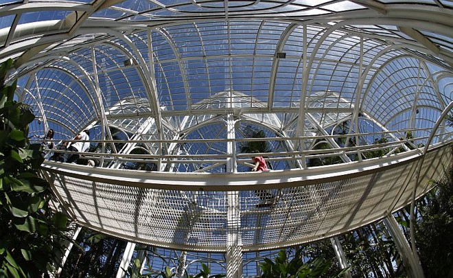 Interior da estufa do Jardim Botânico |