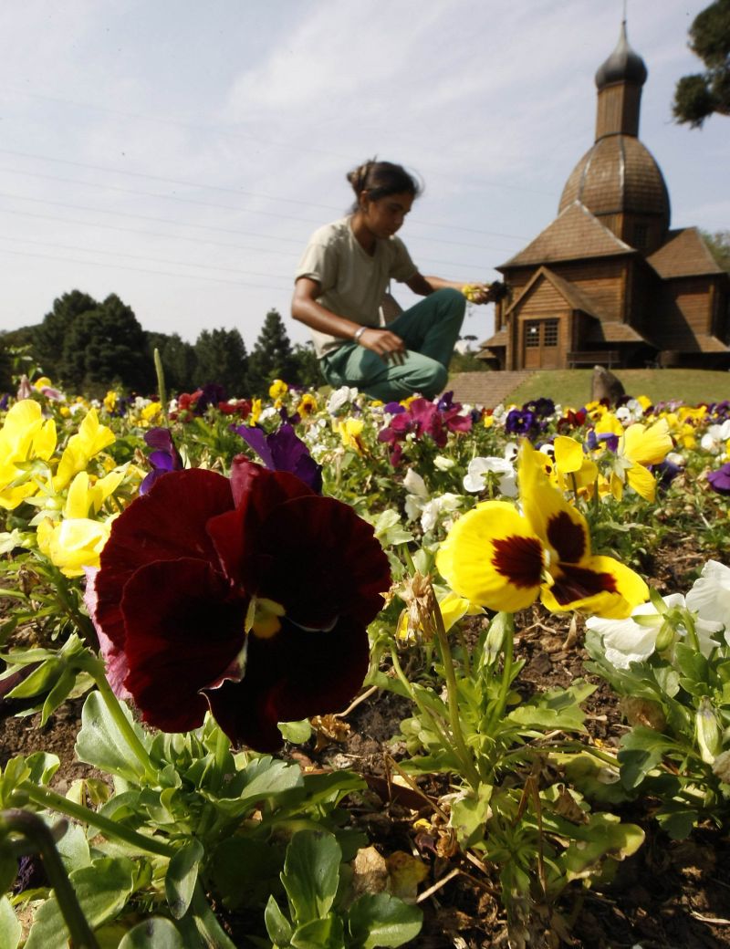 | Ivonaldo Alexandre/Gazeta do Povo