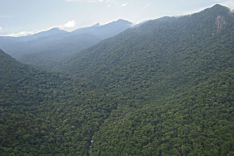 | Emerson de Oliveira