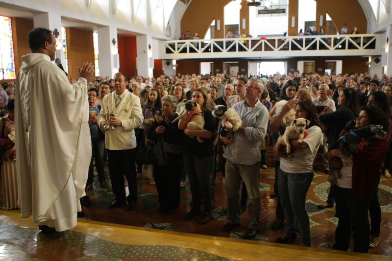São Francisco é padroeiro porque pregava amor aos animais | Aniele Nascimento/Agência de Notícias Gazeta do Povo